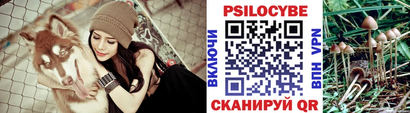 Галлюциногенные грибы мухоморы  даркнет сайт  площадка телеграм  Прокопьевск 