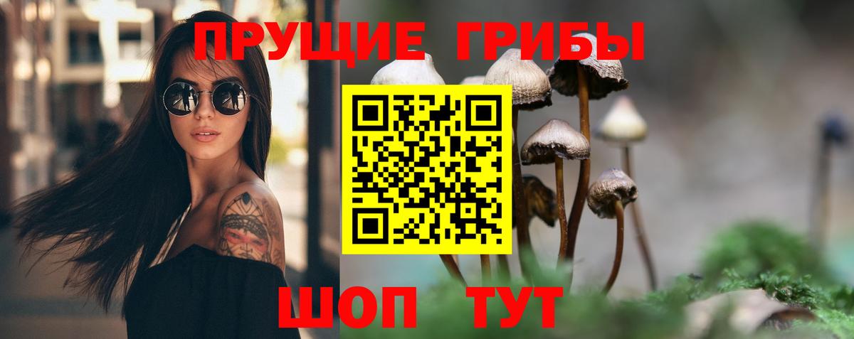 Прокопьевск  закладка  Вход с VPN  Псилоцибиновые грибы GOLDEN TEACHER 