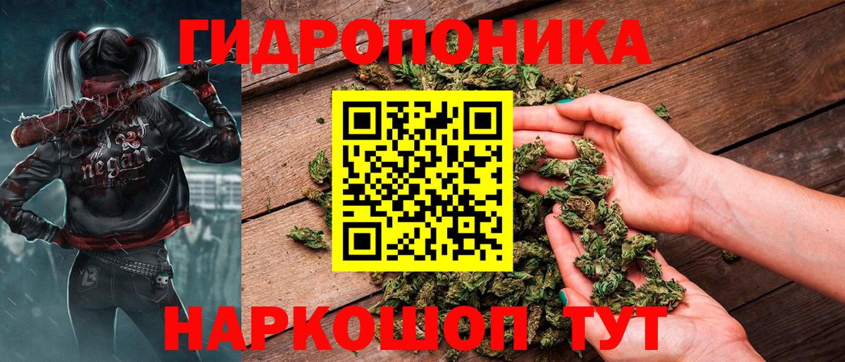 Прокопьевск  Бошки Шишки Bruce Banner  Вход с VPN  Бошки Шишки семена  Конопля MAZAR 